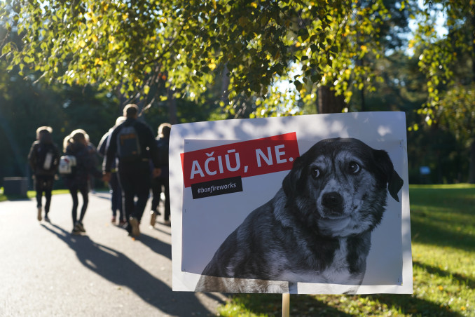 Prie Vingio parko vykusiame proteste skambėjo raginimai riboti fejerverkus